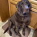 Nathan Patten - Facebook