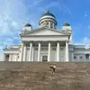 Nathan Peacock - @onlyflockofpeacock - TikTok
