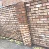 nathan.pegg - @nathan.pegg - TikTok