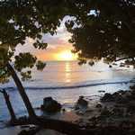 nathan peter - @starspangleddrinker - Instagram