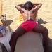 Nathan Petrelli - Facebook