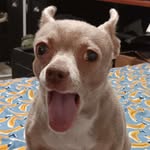 nathan petty - @nathan_petty45 - Instagram