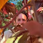 Nathan Pflaum - @thepflaum - Instagram