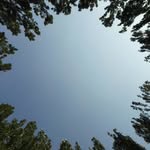 Nathan Pflaume - @ntplumer - Instagram