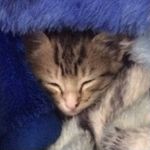 Nathan Pickens - @nathan_pickens6969 - Instagram