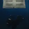 nathan - @nathan.polman - TikTok
