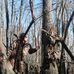 Nathan Pohlman - Facebook