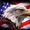 Nathaniel Points - @nathaniel.points - TikTok