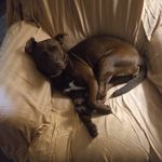 Nathan polk - @supamastaofkunfu - Instagram
