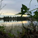 nathan polk - @polksflicks - Instagram