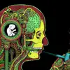 ND - @nathanpolk0 - TikTok