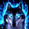 Nathan Poll108 - @nathanpoll108 - TikTok