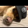 Nathan_poll4 - @nathan_poll4 - TikTok