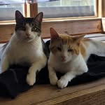 Nathan Portillo - @nathanportillo64 - Instagram