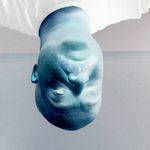 @nathan_or_pounds - Instagram