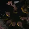 Nathan Power - @nathan.power7 - TikTok