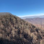 Nathan Pruitt - @336.nathan - Instagram