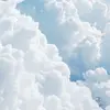 nathanpyatt599 - @nathanpyatt599 - TikTok