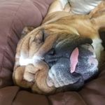 Nathan Pyles - @nathan.pyles.75 - Instagram