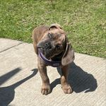 @nathan.quade - Instagram