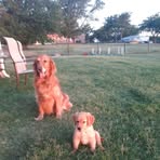 Nathan Quade - Facebook