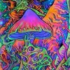 Nathan Quillen - @nathanquillen420 - TikTok