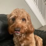Nathan Quinn - @nathan.quinn1967 - Instagram