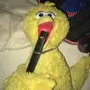 Nathan Quinn - @carlovingloser - TikTok
