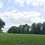 Nathan - @nathanrandle006 - Instagram