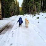 Nathan Rasmussen - @mountain_man_nathan - Instagram