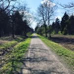 Nathan Redman - @my_first_1000 - Instagram