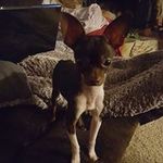 Nathan Register - @registernathan - Instagram