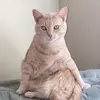 Nathan Register - @nathan.register0 - TikTok