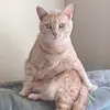 Nathan Register - @nathan.register - TikTok