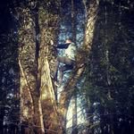 nathan renaud-goud - @nathanrenaudgoud - Instagram