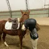 demir&nathan - @nathansridingshoex - TikTok