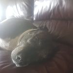Nathan Rigby - @nathan.rigby.12327 - Instagram