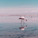Nathan Rigby - @nathan.rigby1963 - Instagram