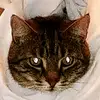 Nathan Rivard-Lacombe - @nath._.2005 - TikTok