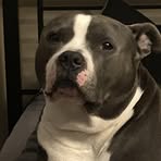 Nathan Rivas - Facebook