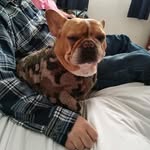 Nathan Rolfe - @xpird - Instagram