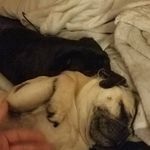 Nathan Rolfe-griswold - @rolfegriswold - Instagram