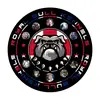 Nathan Royal bull kennel - @royalbullkennel - TikTok