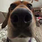 Nathan rusch - @nat3.r21 - Instagram