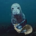 Nathan Rusk - @nathan.rusk.75 - Instagram