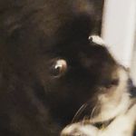 Nathan Russo - @nathanrusso12 - Instagram