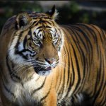 Nathan Saechao - @nath_ansaecha0 - Instagram