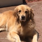 Nathan Sallee - @nathan_sallee_9 - Instagram