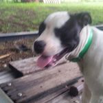 Nathaniel - @nathaniel_samples123 - Instagram