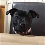 Nathan Sands - @nathan.sands.378 - Instagram
